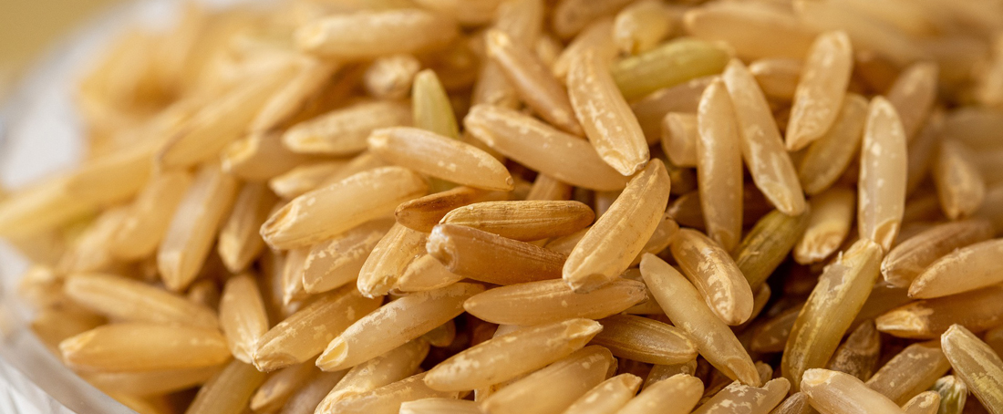 Brown rice benefits