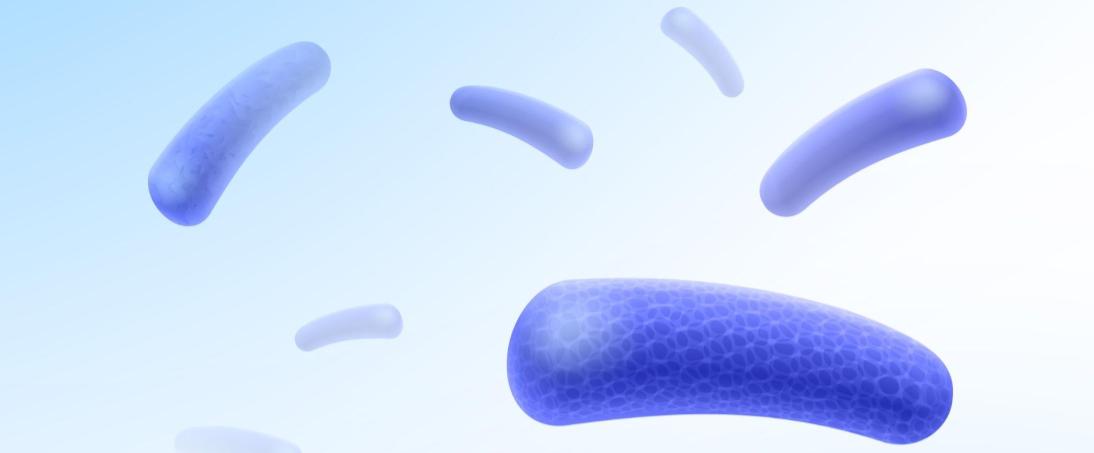 Plant growth-promoting bacteria