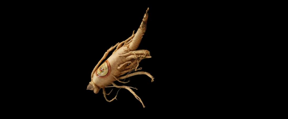 Ginseng-the dietary benefits of the ancient healer food