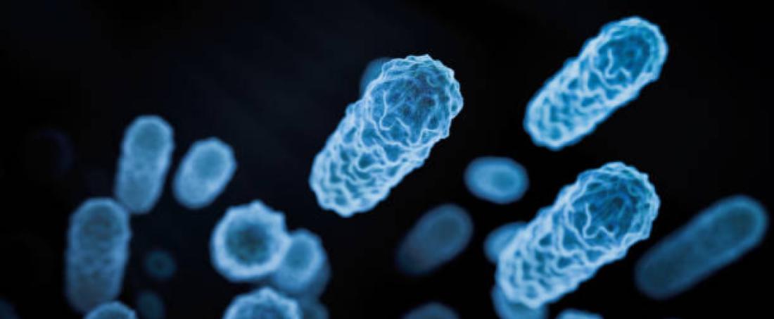 Exopolysaccharides from lactic acid bacteria and their antitumour activity
