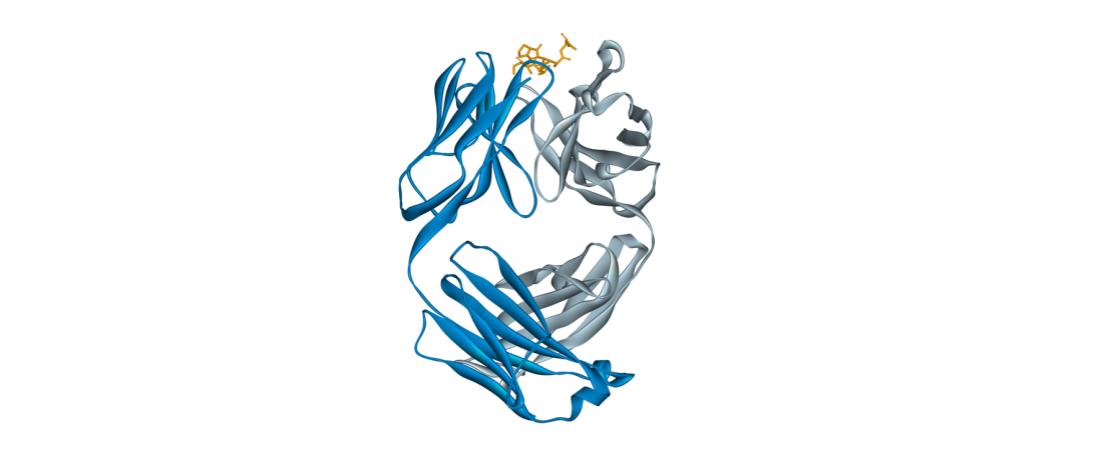 Use of therapeutic peptides for cancer treatment
