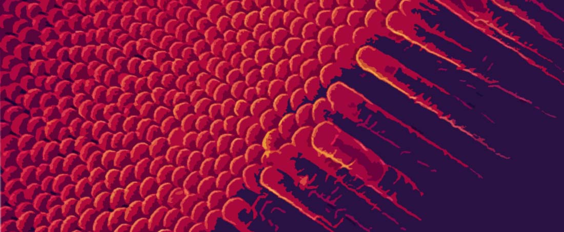 Titanium dioxide based nanophotocatalysts : A boon to environmental remediation